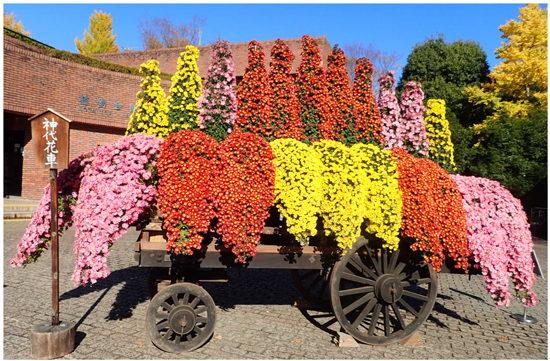 花車120センチ 花車120センチ