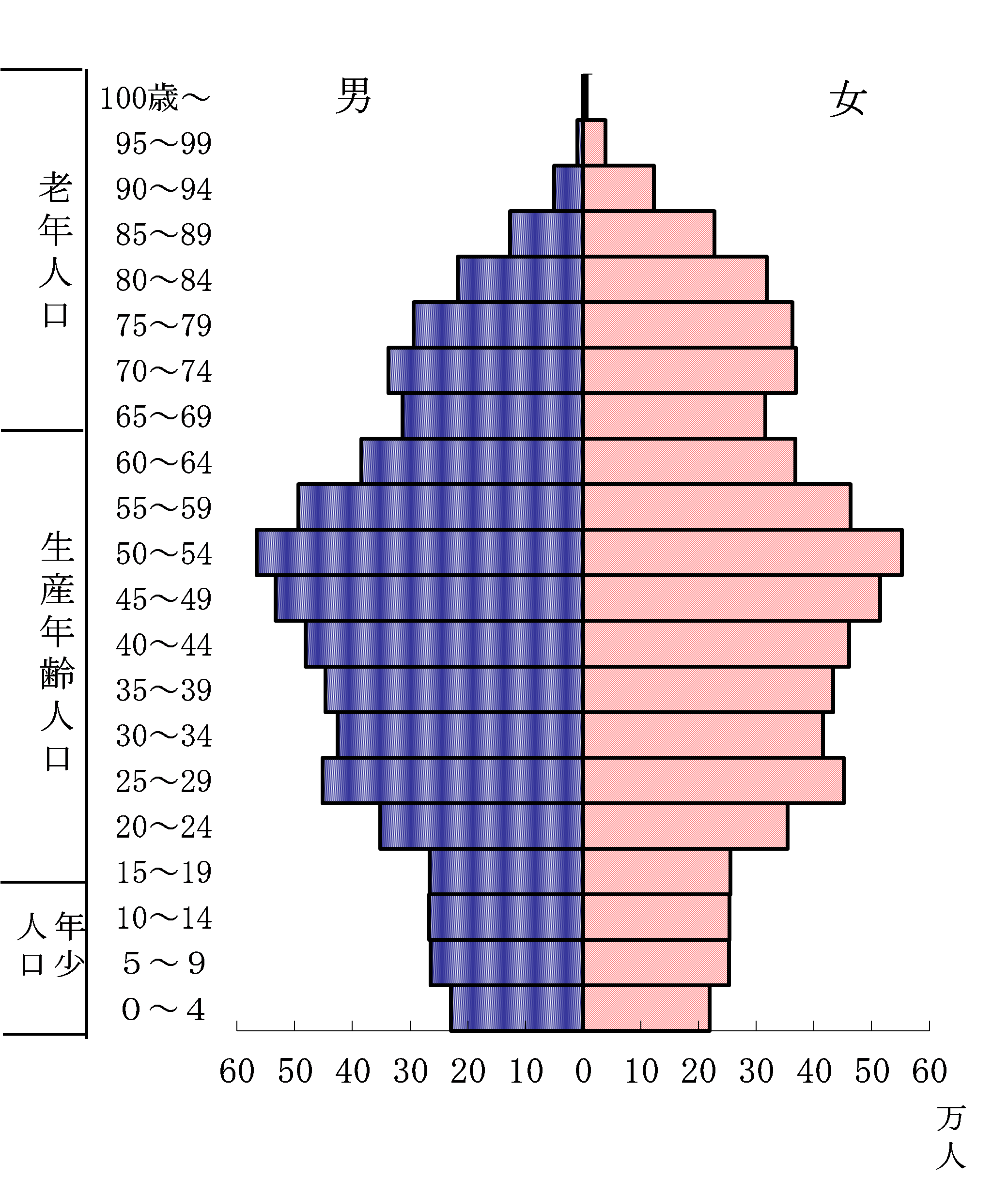 日本人における人口ピラミッドのグラフ