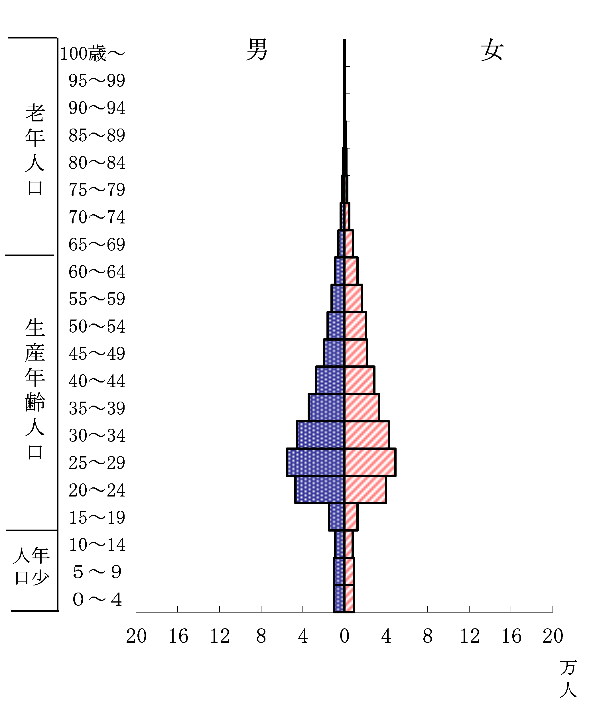 外国人における人口ピラミッドのグラフ