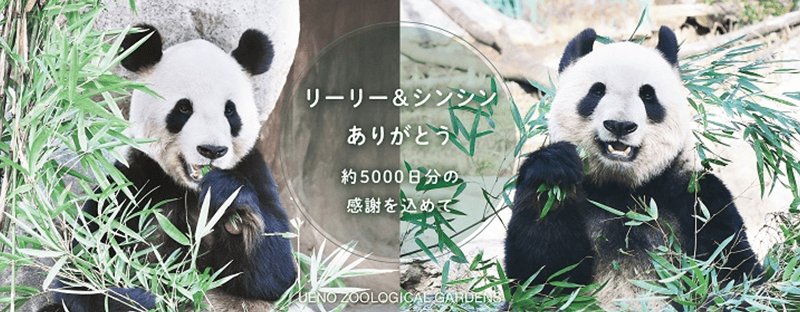 恩賜上野動物園「リーリー」「シンシン」返還｜東京都