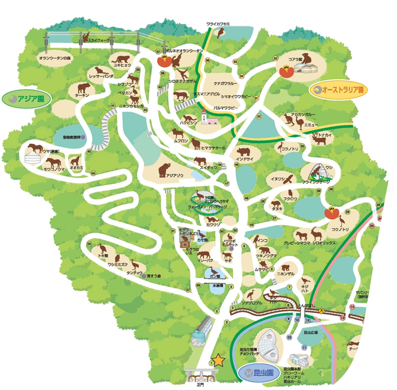 地図の画像